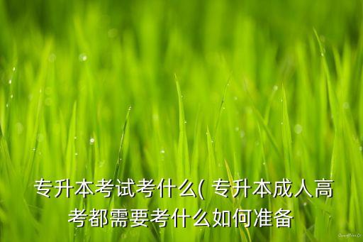 專升本2013西方經(jīng)濟學,湖南工學院專升本西方經(jīng)濟學真題