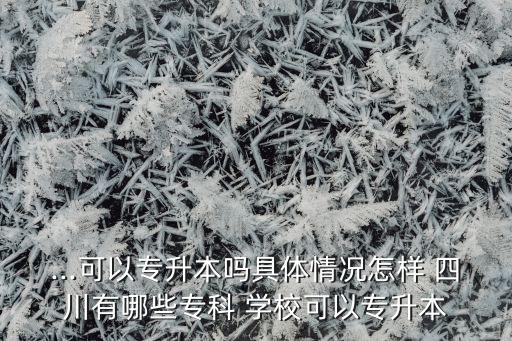 ...可以專升本嗎具體情況怎樣 四川有哪些?？?學(xué)校可以專升本