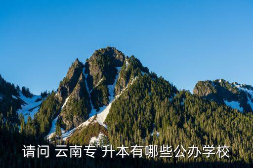 請(qǐng)問 云南專 升本有哪些公辦學(xué)校