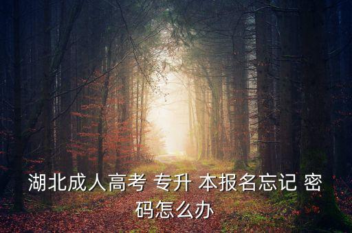 湖北成人高考 專升 本報(bào)名忘記 密碼怎么辦