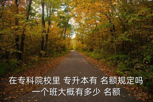 在專(zhuān)科院校里 專(zhuān)升本有 名額規(guī)定嗎一個(gè)班大概有多少 名額