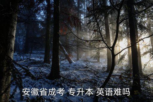 安徽省成考 專升本 英語(yǔ)難嗎