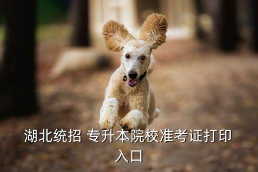 湖北科技學(xué)院專(zhuān)升本分?jǐn)?shù)查詢(xún)?nèi)肟? /></a><a href=