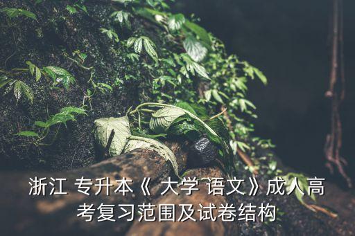 浙江 專升本《 大學 語文》成人高考復習范圍及試卷結構