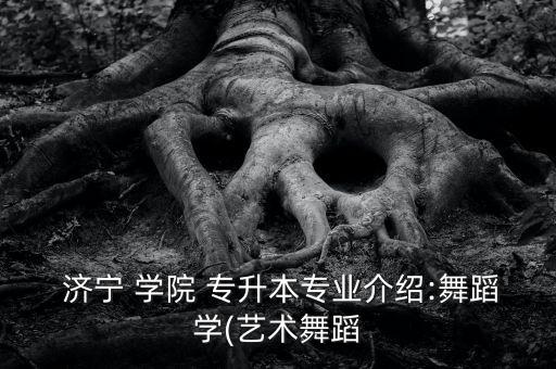 濟(jì)寧 學(xué)院 專升本專業(yè)介紹:舞蹈學(xué)(藝術(shù)舞蹈