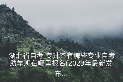  湖北省自考 專升本有哪些專業(yè)自考助學班在哪里報名(2023年最新發(fā)布...