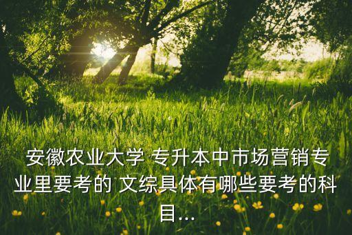 安徽農(nóng)業(yè)大學(xué) 專升本中市場(chǎng)營銷專業(yè)里要考的 文綜具體有哪些要考的科目...