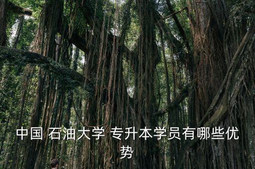 中國 石油大學 專升本學員有哪些優(yōu)勢