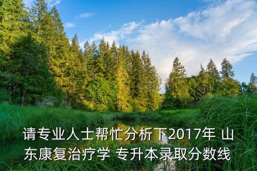 請專業(yè)人士幫忙分析下2017年 山東康復治療學 專升本錄取分數(shù)線