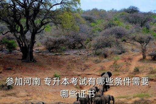 永城職業(yè)學(xué)院專(zhuān)升本