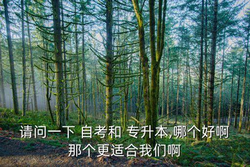 請問一下 自考和 專升本,哪個好啊那個更適合我們啊