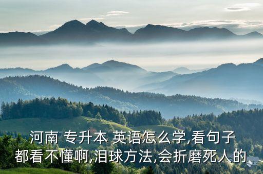  河南 專升本 英語怎么學,看句子都看不懂啊,淚球方法,會折磨死人的