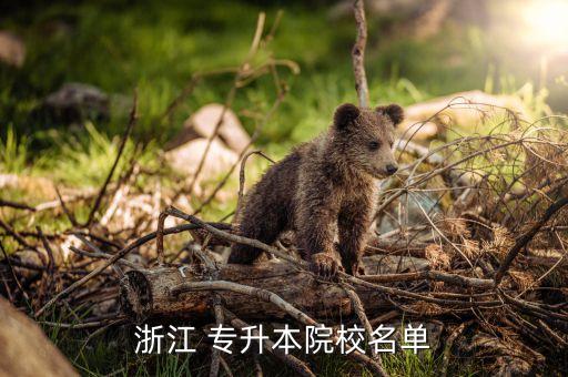 浙江 專升本院校名單