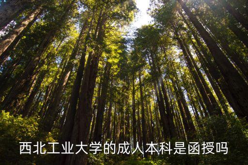 馬老師專升本,好老師專升本機構怎么樣