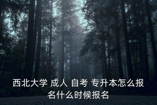 西北大學(xué) 成人 自考 專升本怎么報名什么時候報名