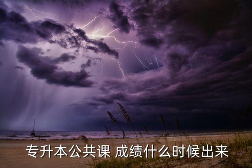  專升本公共課 成績(jī)什么時(shí)候出來
