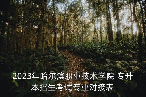 2023年哈爾濱職業(yè)技術(shù)學院 專升本招生考試專業(yè)對接表