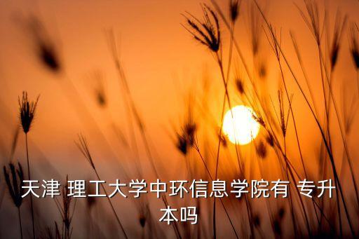 天津 理工大學中環(huán)信息學院有 專升本嗎
