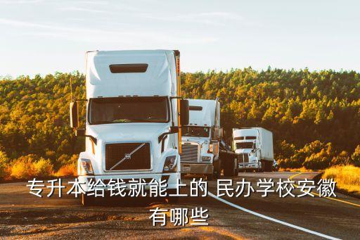  專升本給錢就能上的 民辦學(xué)校安徽有哪些