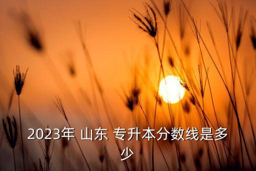 2023年 山東 專(zhuān)升本分?jǐn)?shù)線(xiàn)是多少