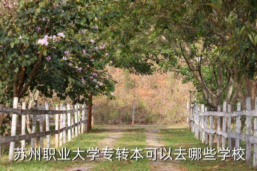 蘇州職業(yè)大學專轉(zhuǎn)本可以去哪些學校