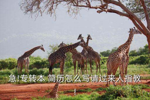 急!專轉(zhuǎn)本 簡(jiǎn)歷怎么寫請(qǐng)過來人指教!