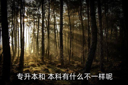專升本的學歷與普通本科有什么區(qū)別,河南統(tǒng)考專升本學歷和普通本科一樣么