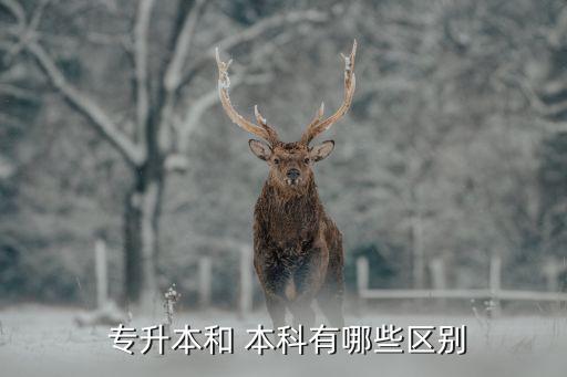 全日制專(zhuān)升本 本科的區(qū)別,專(zhuān)升本和全日制本科有區(qū)別嗎