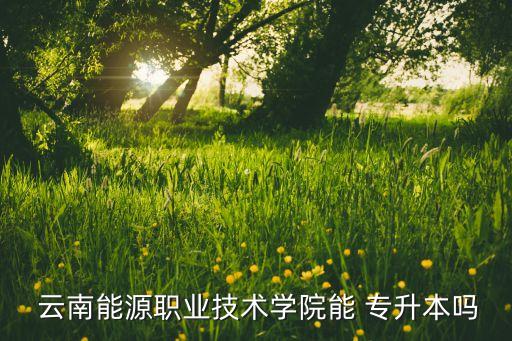  云南能源職業(yè)技術(shù)學院能 專升本嗎