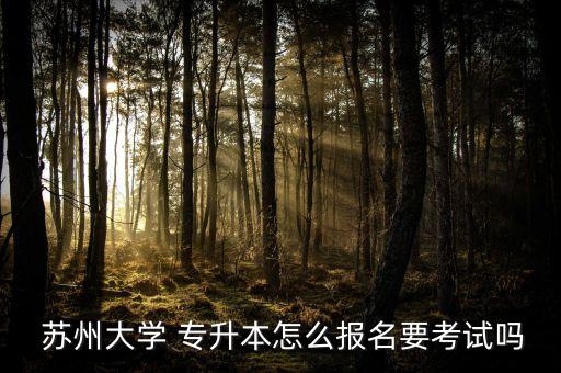  蘇州大學(xué) 專升本怎么報(bào)名要考試嗎