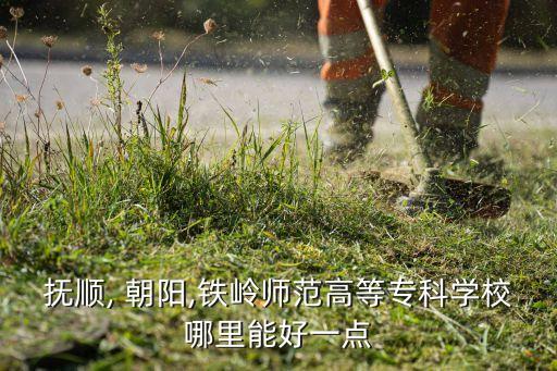 撫順, 朝陽,鐵嶺師范高等?？茖W校哪里能好一點
