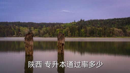 陜西2018年專(zhuān)升本數(shù)學(xué),2018年浙江專(zhuān)升本數(shù)學(xué)真題及答案