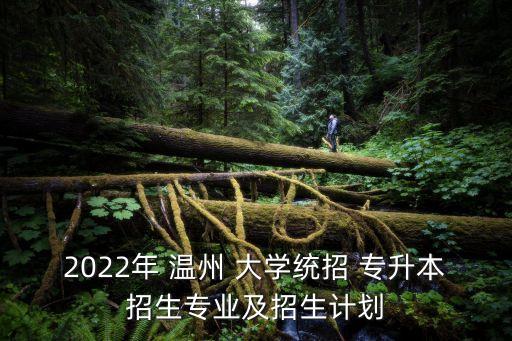2022年 溫州 大學(xué)統(tǒng)招 專升本招生專業(yè)及招生計劃