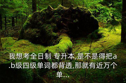 我想考全日制 專升本,是不是得把a(bǔ).b級(jí)四級(jí)單詞都背透,那就有近萬個(gè)單...