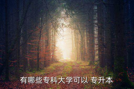 有哪些?？拼髮W(xué)可以 專升本
