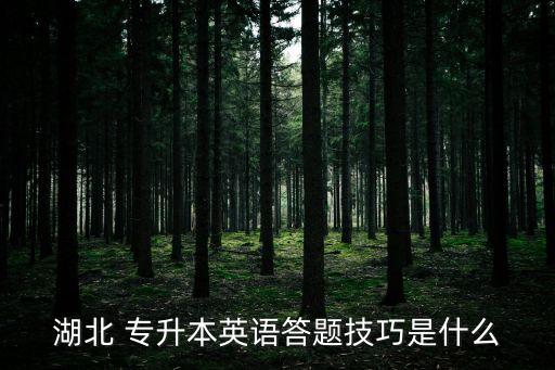 湖北 專升本英語答題技巧是什么