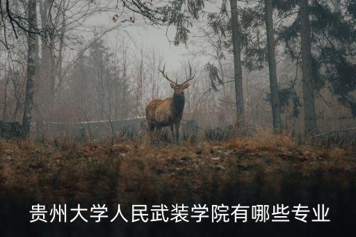  貴州大學人民武裝學院有哪些專業(yè)