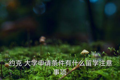 專升本英國約克大學(xué),英國約克大學(xué)碩士一年花費(fèi)