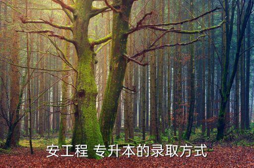 安徽工程大學(xué)17年專升本真題答案