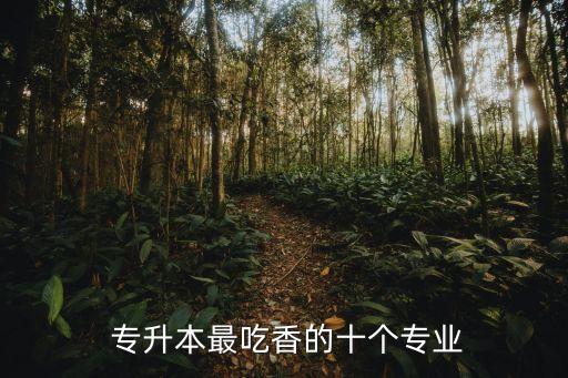 專升本最吃香的十個專業(yè)