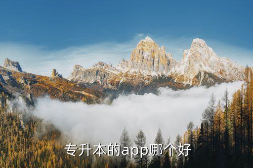 山東專升本計算機網(wǎng)課