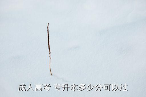 成人高考 專升本多少分可以過(guò)