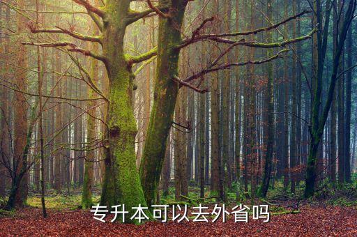  專(zhuān)升本可以去外省嗎