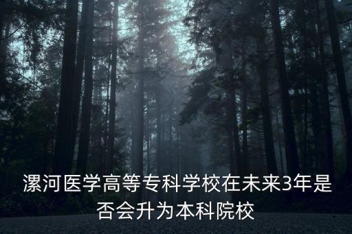  漯河醫(yī)學高等?？茖W校在未來3年是否會升為本科院校