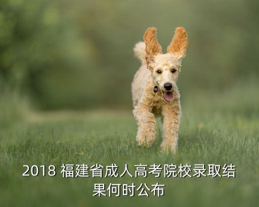 2018 福建省成人高考院校錄取結果何時公布