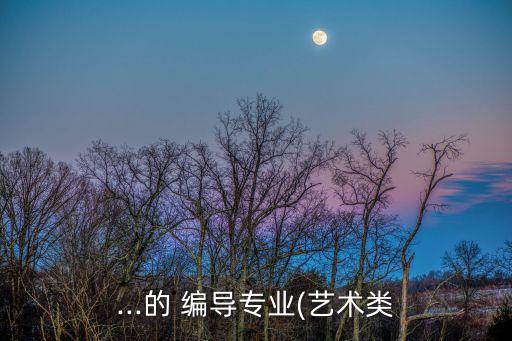 ...的 編導專業(yè)(藝術類