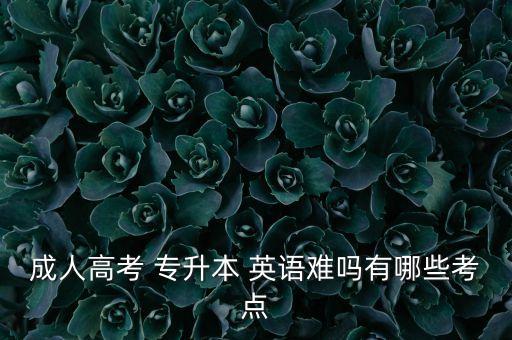 成教專升本英語考試試題,2020黑龍江省專升本英語考試試題