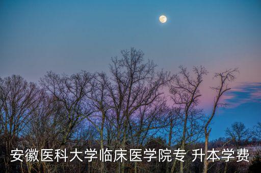 安徽醫(yī)科大學(xué)臨床醫(yī)學(xué)院專 升本學(xué)費