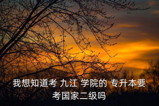 我想知道考 九江 學(xué)院的 專升本要考國家二級(jí)嗎