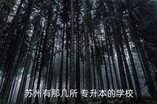  蘇州有那幾所 專升本的學(xué)校